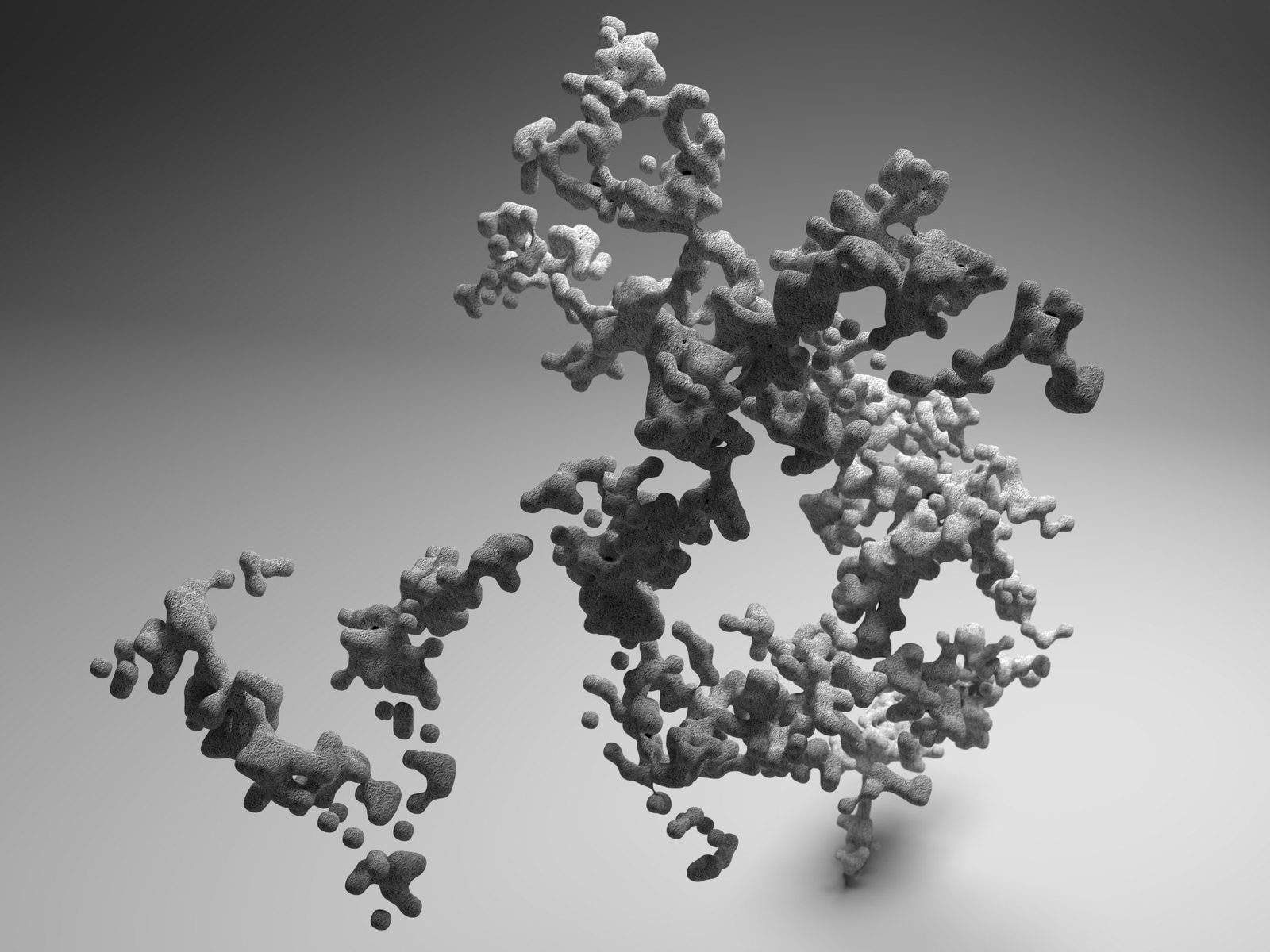 A branching accretion opening outward into separate clustered limbs