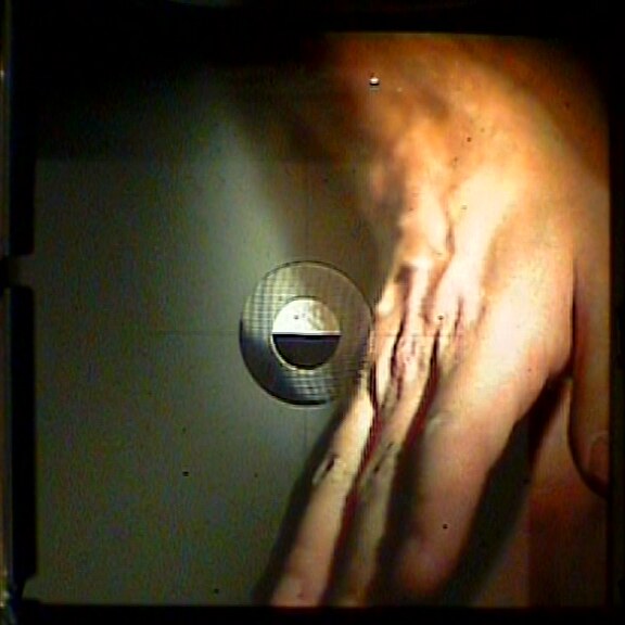 Through the viewfinder: the same hand on the ground glass, reversed left to right, beside the focusing circle