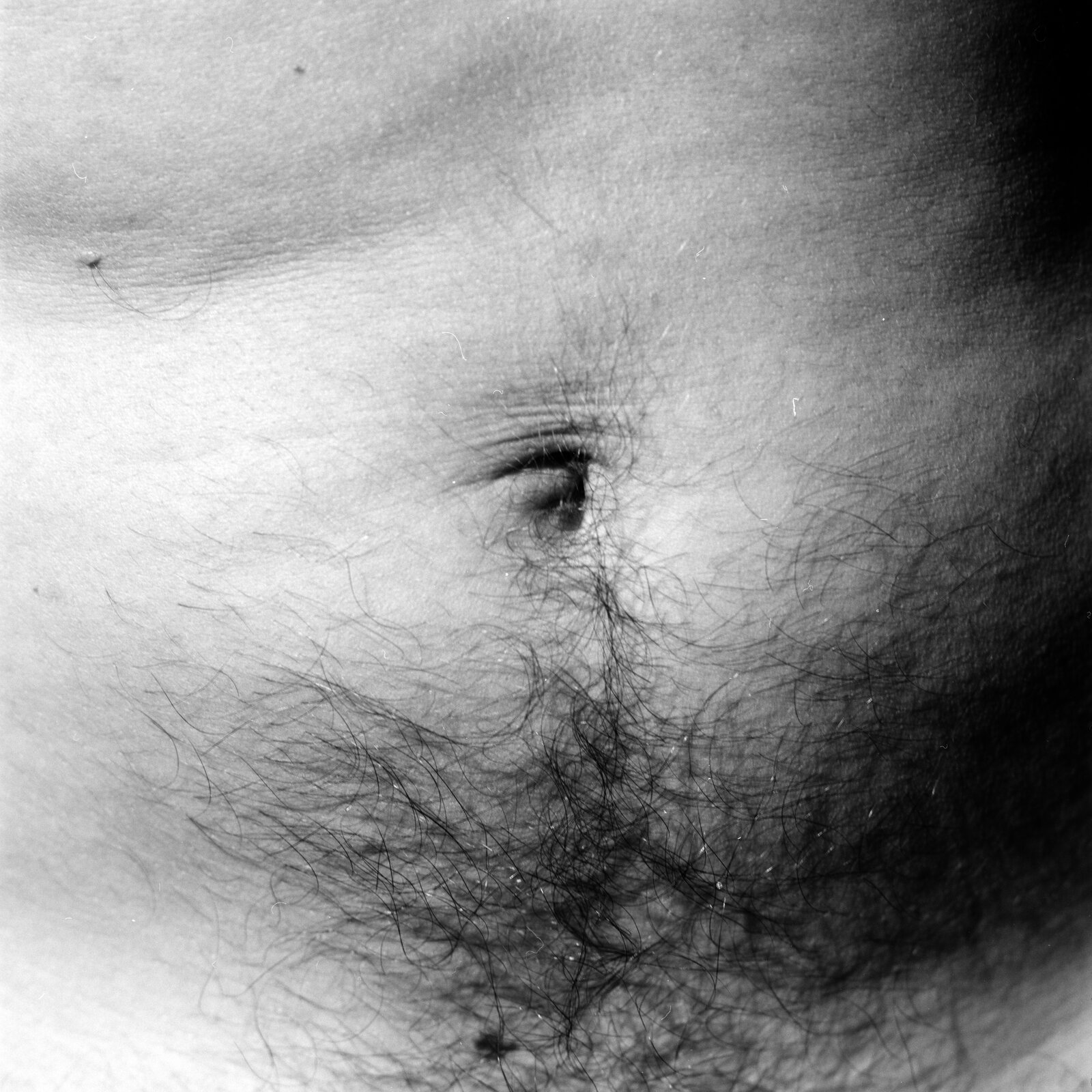 A belly with the navel at the centre and hair spreading below it