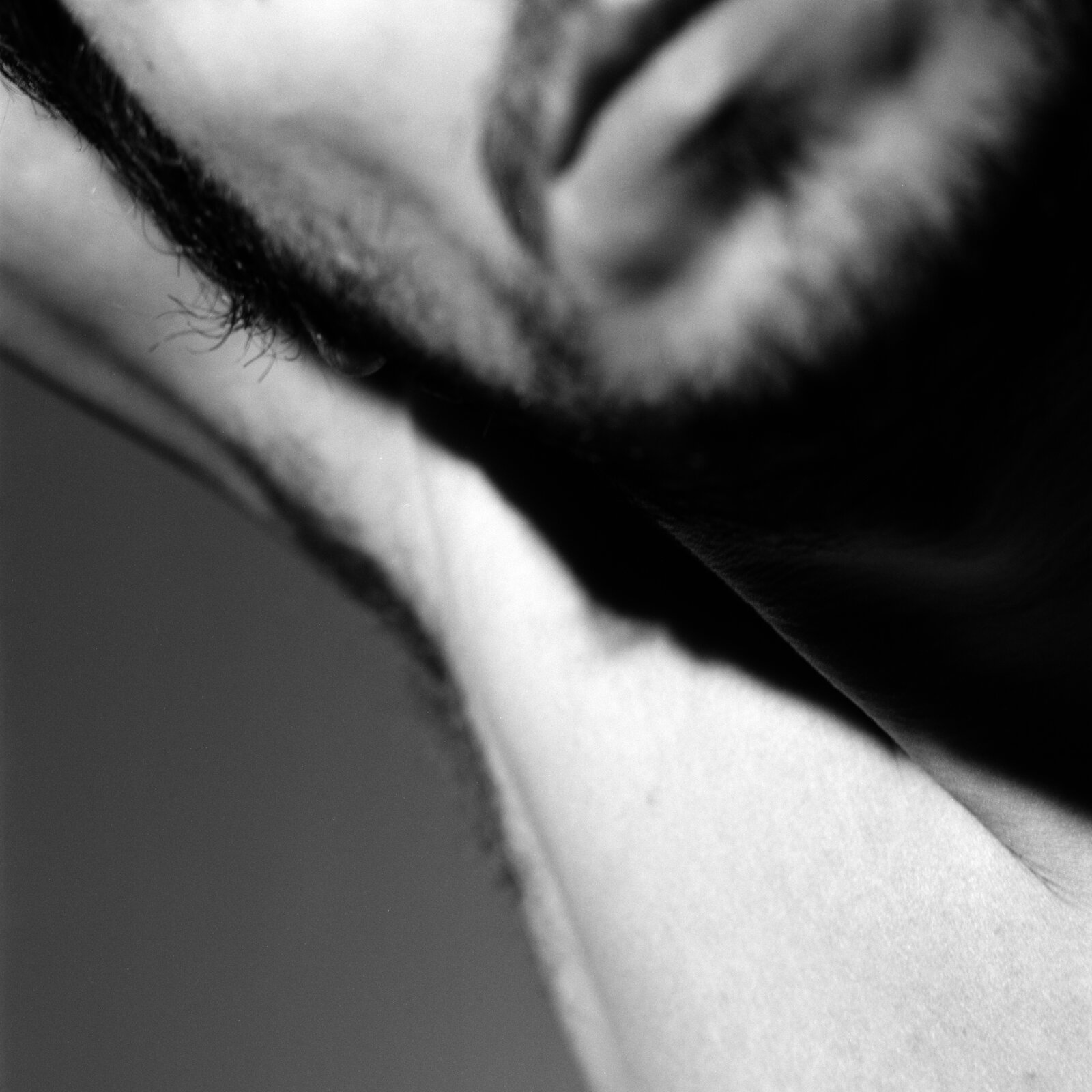 The line of a jaw and throat, the head turned away, a beard along the edge