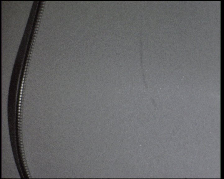 A shower hose curving down the left edge of a bare grey wall