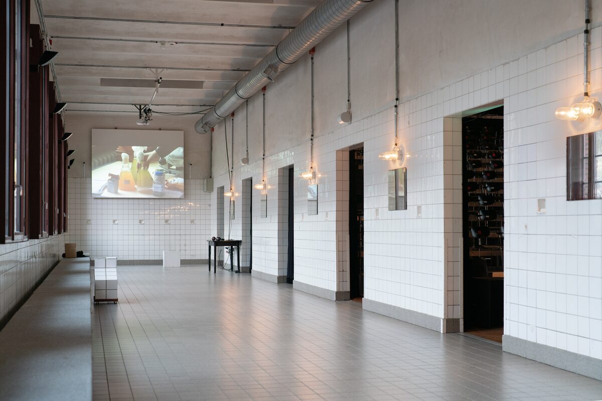 The long white-tiled hall of the former pithead bath, windows on the left, doorways into dark rooms on the right under bare-bulb lamps, and at the far end a projection of hands among glass flasks