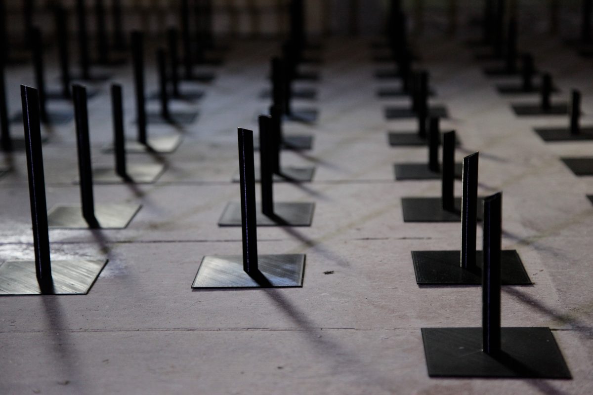 Raking light across the tips, their shadows thrown long over the floorboards
