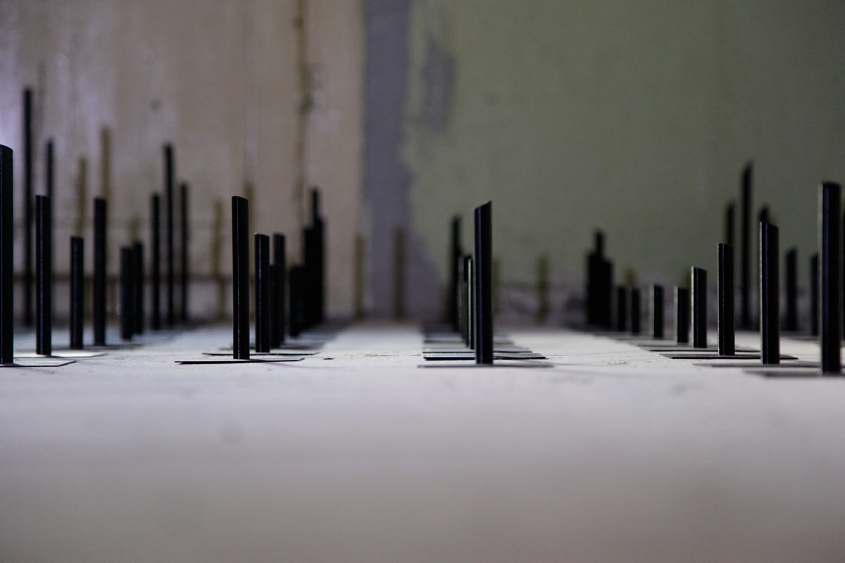 The tips seen at floor level against a green wall, the horizon of the field low in frame