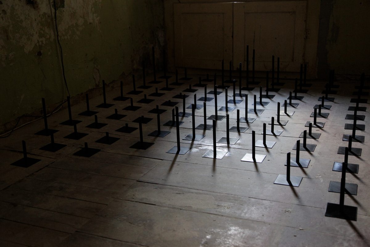 The field in near darkness, the tips catching a little light off the floor