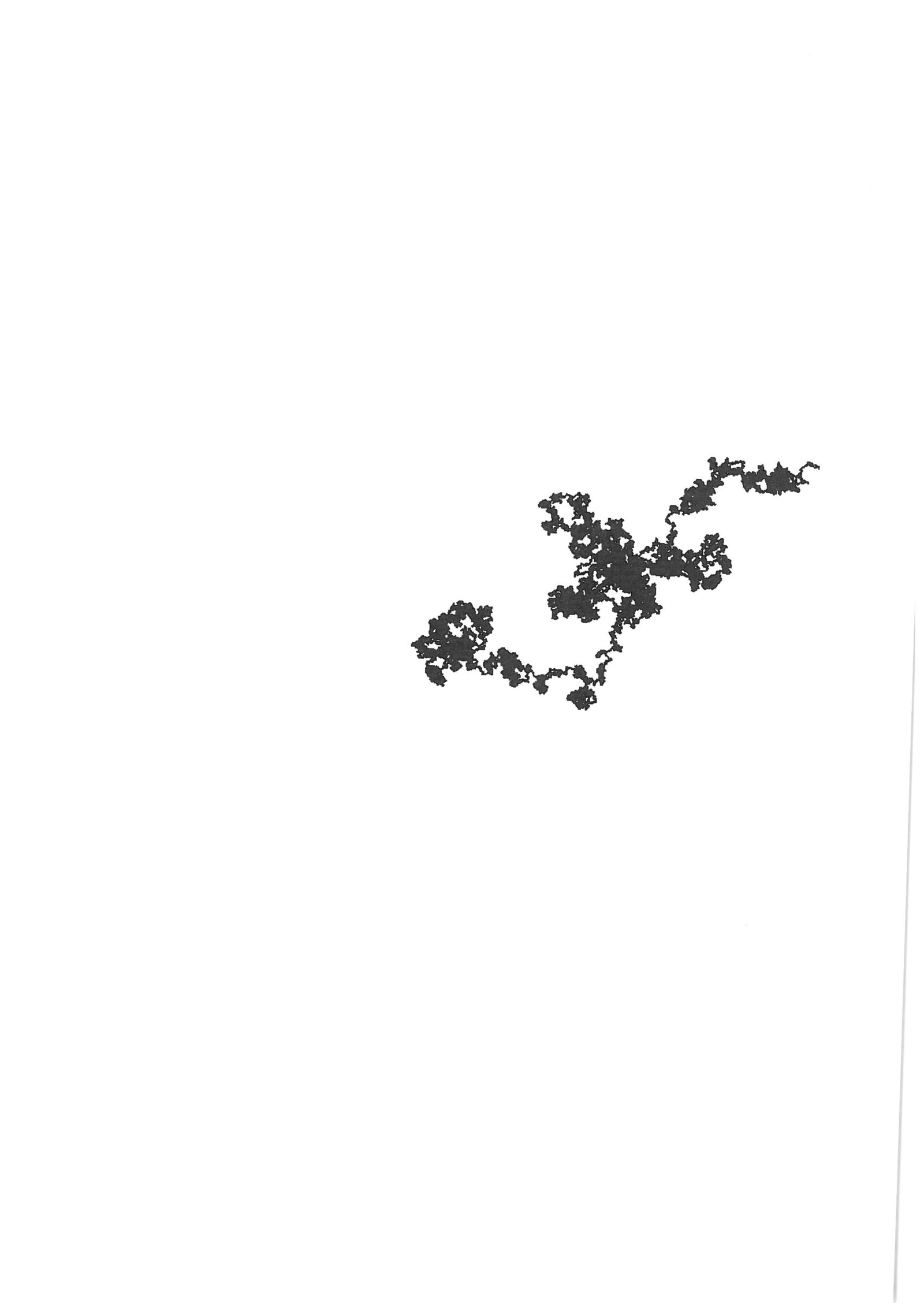 An A4 sheet, almost entirely white, carrying a single branching black random-walk trace