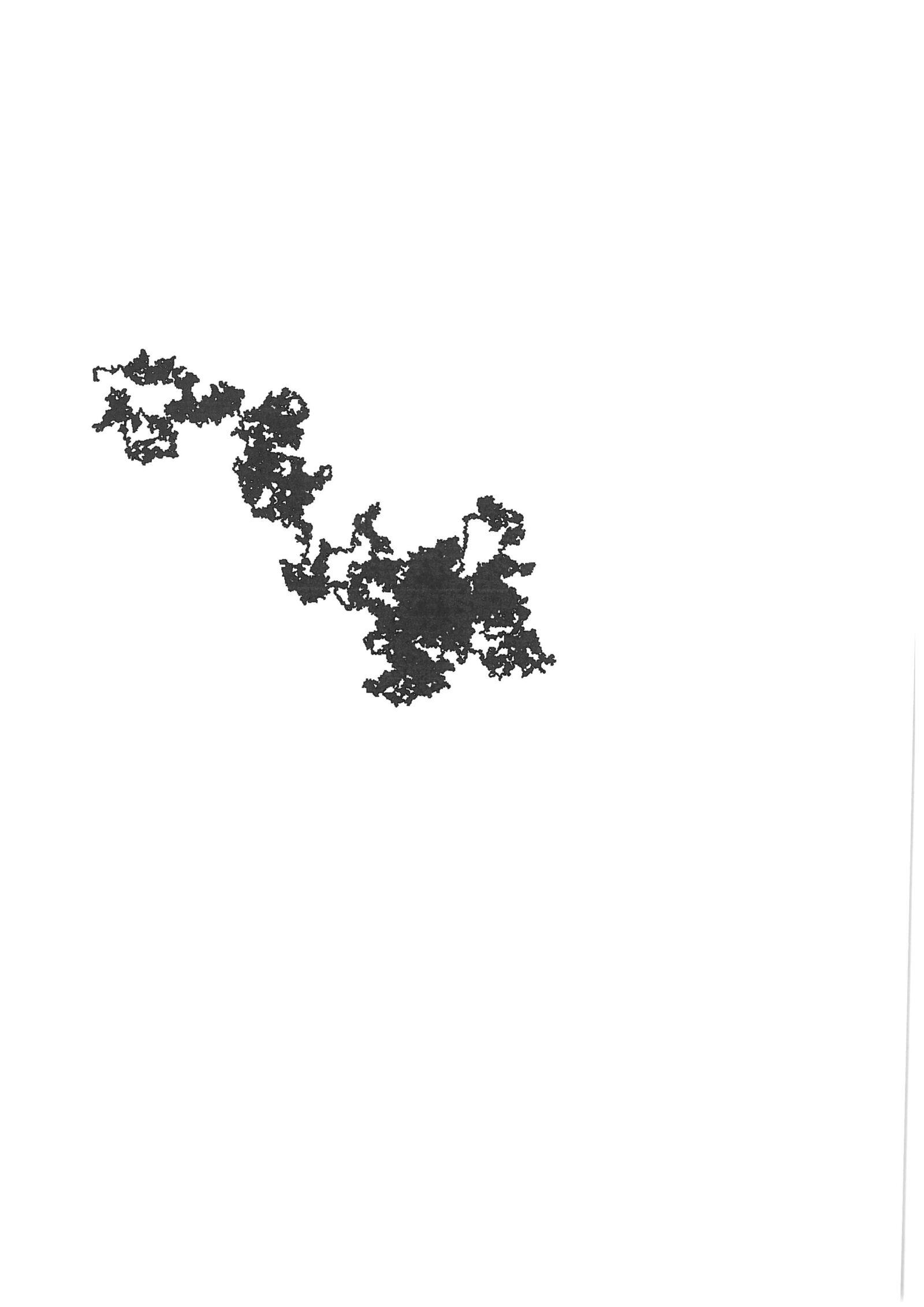 An A4 sheet, almost entirely white, carrying a single branching black random-walk trace