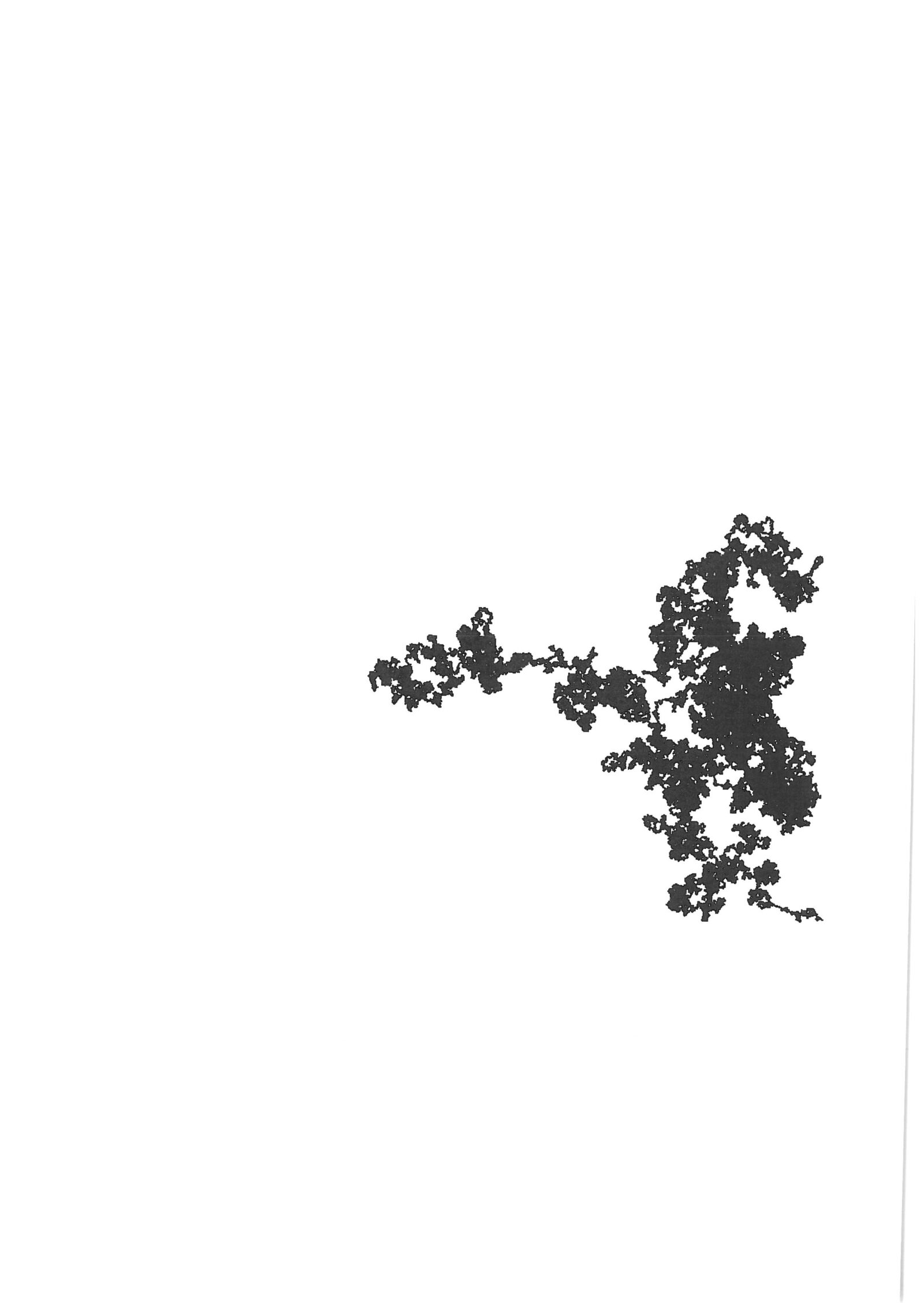 An A4 sheet, almost entirely white, carrying a single branching black random-walk trace